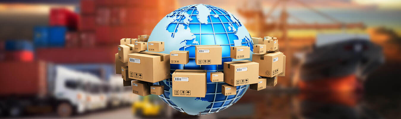 Informa&ccedil;&otilde;es sobre Importa&ccedil;&atilde;o/Exporta&ccedil;&atilde;o | Brangex